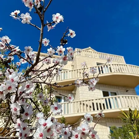 Hotel Villa Dzamonja-2